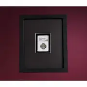 BLACK SHADOW BOX/FRAME FOR NGC COINS W/COIN DISPLAY CASE WITH UV PROTECTION!