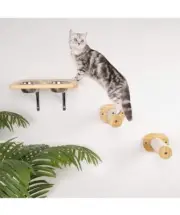 Cooenia Cat Wall Shelf w Bowls & Climbing Steps