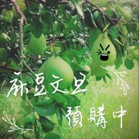 在飛比找蝦皮購物優惠-[正宗麻豆文旦]林兜文旦園預購開跑_產地麻豆油車里_酸甜多汁