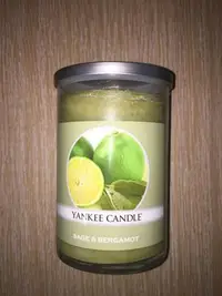 在飛比找Yahoo!奇摩拍賣優惠-【西寧鹿】YANKEE CANDLE 22OZ sage &