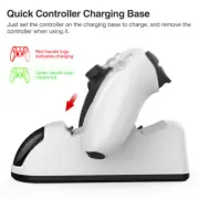 Dual Charging Dock For PS5 Controller Handle Fast Charger Station Stand With LED