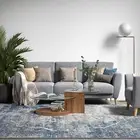Extra Large Shaggy Rug Super Soft Warm Washable Lounges Carpet Hallway Runner