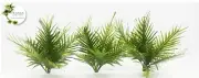 1/35 SCALE JUNGLE PLANTS MODEL SET (3 PLANTS/1 SET). TPV-109