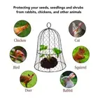 Garden Cloche Covers Black Chicken Wire Plant Protector Thickened 10 Pack