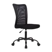 Andra Ergonomic Mesh Low Back Office Chair - Black