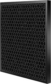 RAHBI Activated Carbon and True Replacement Filter for WA-3001FS Leisurely
