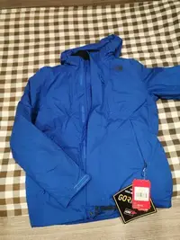 在飛比找Yahoo!奇摩拍賣優惠-TNF The North Face 羽绒 Gore Tex