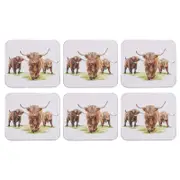 6pc Ashdene Hardboard/Cork Highland Herd Coaster Set