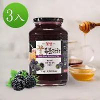 在飛比找ETMall東森購物網優惠-【韓味不二】3罐組-花泉蜂蜜覆盆子茶1kg-韓國進口