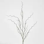 [Florabelle Living] Curly Twig