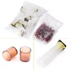 Complete Queen Rearing Cupkit System Bee Beekeeping Catcher Box +100 Cell Cup