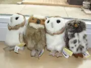 SET OF (4) Folkmanis Puppets Mini Owls Finger Puppet