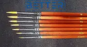 Paint Brushs 7Pcs Sable nylon Hair Brushes Miniature Painting