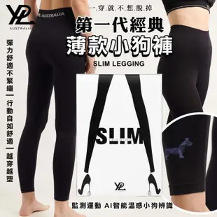 澳洲YPL SLIM LEGGING第一代經典薄款微膠囊光速塑身小狗褲