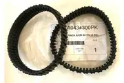 Zodiac AX20 ACTIV Pool Cleaner Track - 2 Pack
