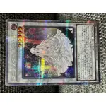 遊戲王 卡牌 花園薔薇少女 25TH SE [QCDB-JP035] 世紀四分之一決鬥者盒 二手 20571729