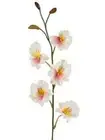 Artificial miltoniopsis orchid stem CREAM and PINK BLUSH