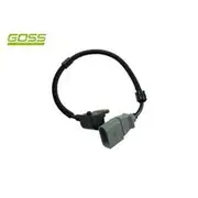 RAE Camshaft Position Sensor - SC489