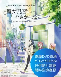 在飛比找Yahoo!奇摩拍賣優惠-DVD 海量影片賣場 尋找小魔女DoReMi/尋找見習魔女 