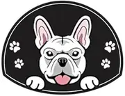 Personalized Stainless Steel Dog ID Tag Name Plate Anti-Lost Pet Name Tag Pendant Custom Engraved Cat and Dog Nameplate Label Pet Collar Supplies Accessories,French Bulldog, Black
