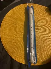 Plastic Recorder Flute