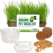 Cat Grass Growing Kit - Organic Seeds, Soil, BPA Free Containers (3 Pack)