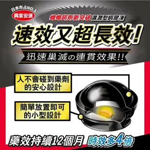 【金興發】興家安速 小黑帽蟑螂餌劑 2g*12入 蟑螂藥 蟑螂餌劑 蟑螂防治 除蟑螂 除蟲 滅蟑