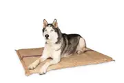 Hessian Foam Dog Mat - Mini