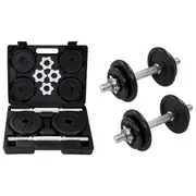 15 Piece Dumbbell set 20 kg Cast Iron vidaXL