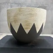 LL Handmade Ceramic Plant Pot Agave Pachypodium Caudex Succulent Artisan Pot