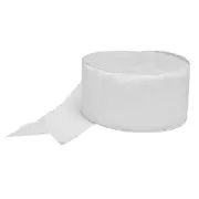 Frosty White Crepe Paper Streamer Party Decoration