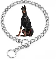 Silver Dog Chain Collars,SUS304 Stainless Steel Dog Collar Metal Slip Link Martingale Collar Training Heavy Duty Boys Puppy Collars for XXS XS Small Medium Large Big Breed Dogs,XXS