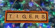 Princeton Tigers Christmas Ornament Scrabble Tiles Magnet