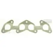 Platinum Extractor Gasket - HSM345