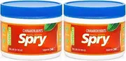 Xylitol Cinnamon Mints Sugar Free Candy - Breath Mints That Promote Oral Health, Dry Mouth Mints That Increase Saliva Production, Stop Bad Breath, 240 Count (Pack of 2)
