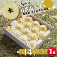 在飛比找momo購物網優惠-【果樹寶石】日本青森金星蘋果特大果14顆x1盒（5KG±10
