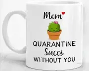 Mom Quarantine Succs Without You Mug Mom Gifts Funny Mothers Day Gifts From