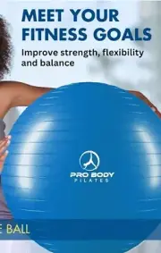 ProBody Exercise Yoga Ball,Stability Ball Chair, Fitness Workout Ball-22" / 55cm