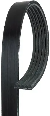 For 1997 Volvo WC 12.1L Serpentine Belt Gates 159DP62 (for: Volvo)