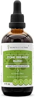 Stone Breaker Blend Alcohol-Free Extract, Stonebreaker, Burdock, Yucca, Goldenrod, Horsetail,Tribulus. Glycerite Tincture, Kidney Function Support (4 fl oz)
