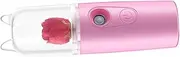 Healeved Handheld Facial Steamer Portable Humidifier for Face Steam Face Steamer 35ml Mist Spray Great for Mom and Girlfriend Random Color