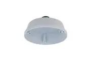 D-Link Pendant Cap Type T2 for Vigilance Cameras DCS-F481PC