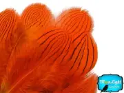 1 Dozen Orange Silver Pheasant Plumage Barred Feathers Fly Tying Jewelry Costume