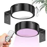 Lights for Pictures | USB Charging Painting Lamp - Remote Control Magnet Lamp 3 Color Brightness Adjustable for Bedroom Living Room Gallery Studio Kitchen Hallway