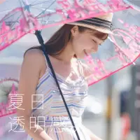 在飛比找momo購物網優惠-【A.Brolly 亞伯尼】布萊頓透明自動長直傘(超大傘面 