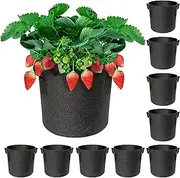 10-Pack Plant Grow Bags, Aeration Fabric Pots, Non-Woven Polypropylene Felt Fabric Flower Pots and Planters with Handles for Vegetables, Flowers, Nursery (10-Pack 7 Gallon)