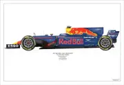 2017 Max Verstappen Red Bull RB13 ltd ed. / 250 signed & numbered by artist