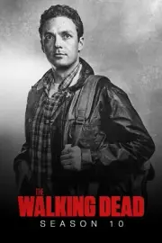 The Walking Dead TWD TV Season 10 Rick Grimes Carl Michonne Aaron Daryl FAST