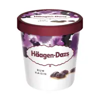 在飛比找家樂福線上購物網優惠-HaagenDazs哈根達斯 藍姆葡萄品脫杯473ml毫升 