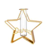 Golden Creative Modeling Vase Nordic Light Luxury Glass Hydroponic Plant Wall Hanging Vase Home Metal Frame Wall Decoration Hot
